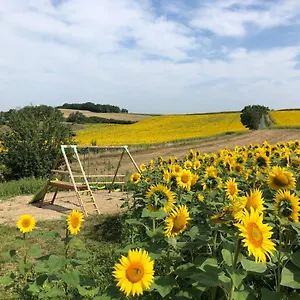 les-gites-den-julio.midi-pyreneeshotels.com/